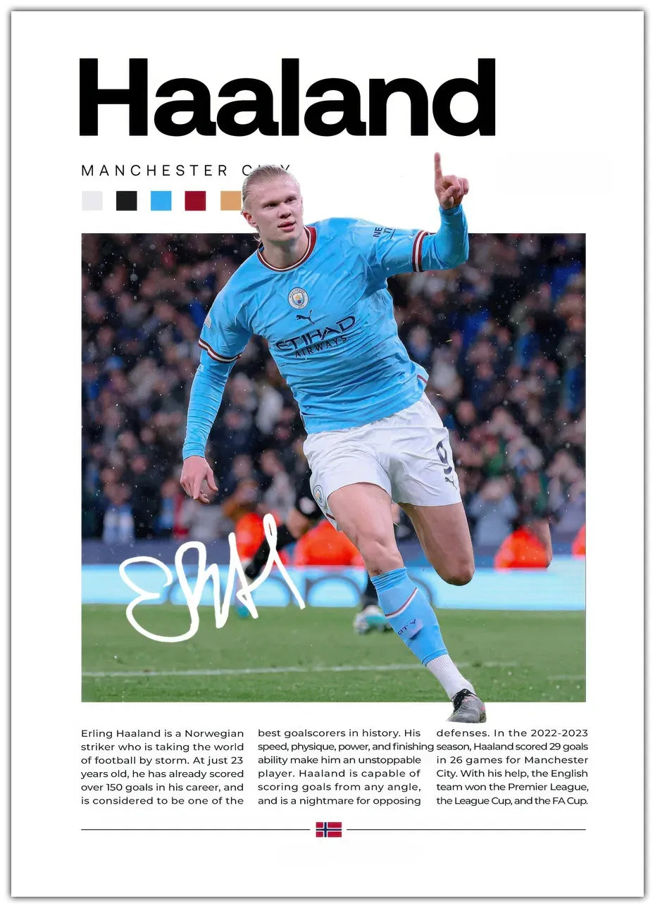 Erling Haaland Plakat