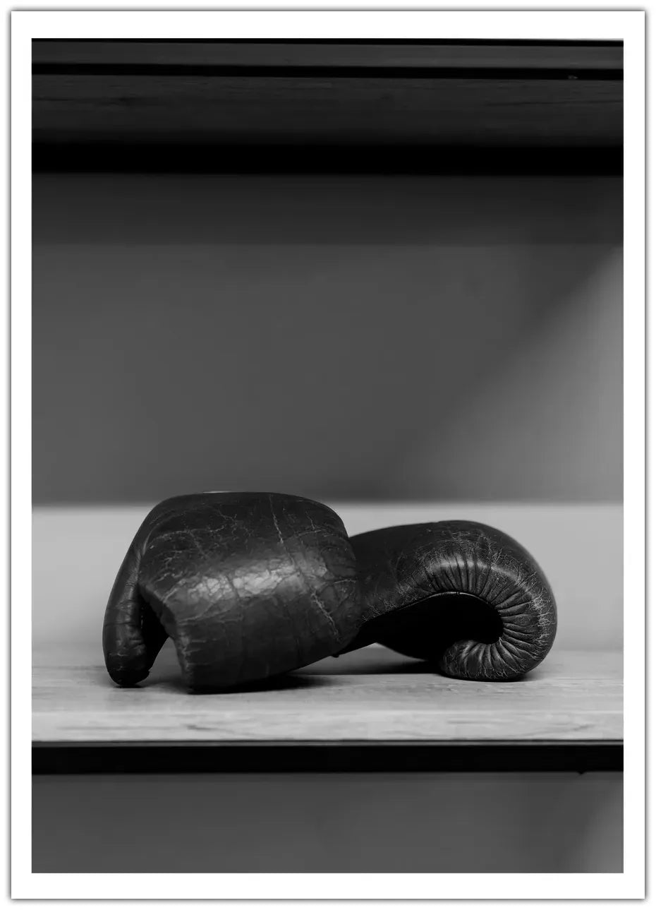 Old Boxing Gloves Plakat