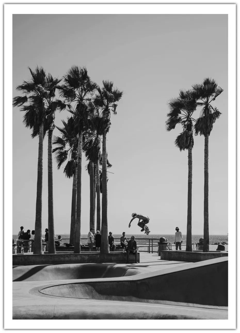 Skate Venice Beach Plakat