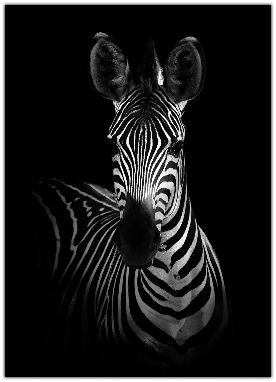 The Zebra Plakat
