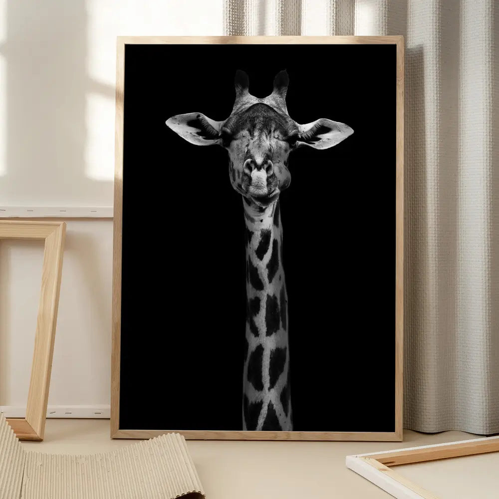 Giraffe Portrait Plakat
