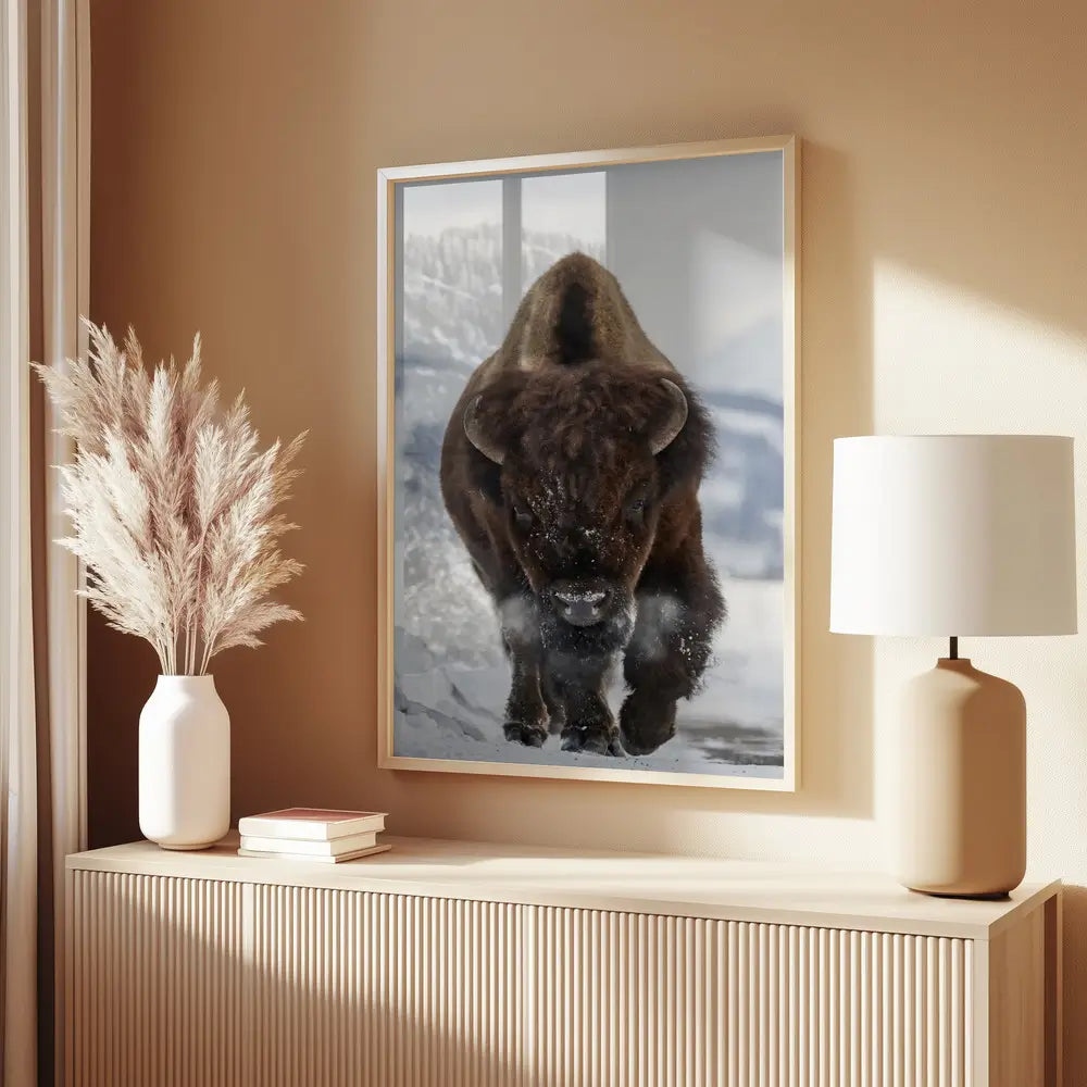 Bison Incoming Plakat