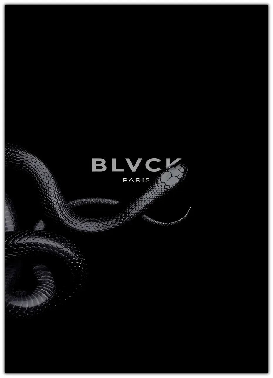 Black Snake Plakat