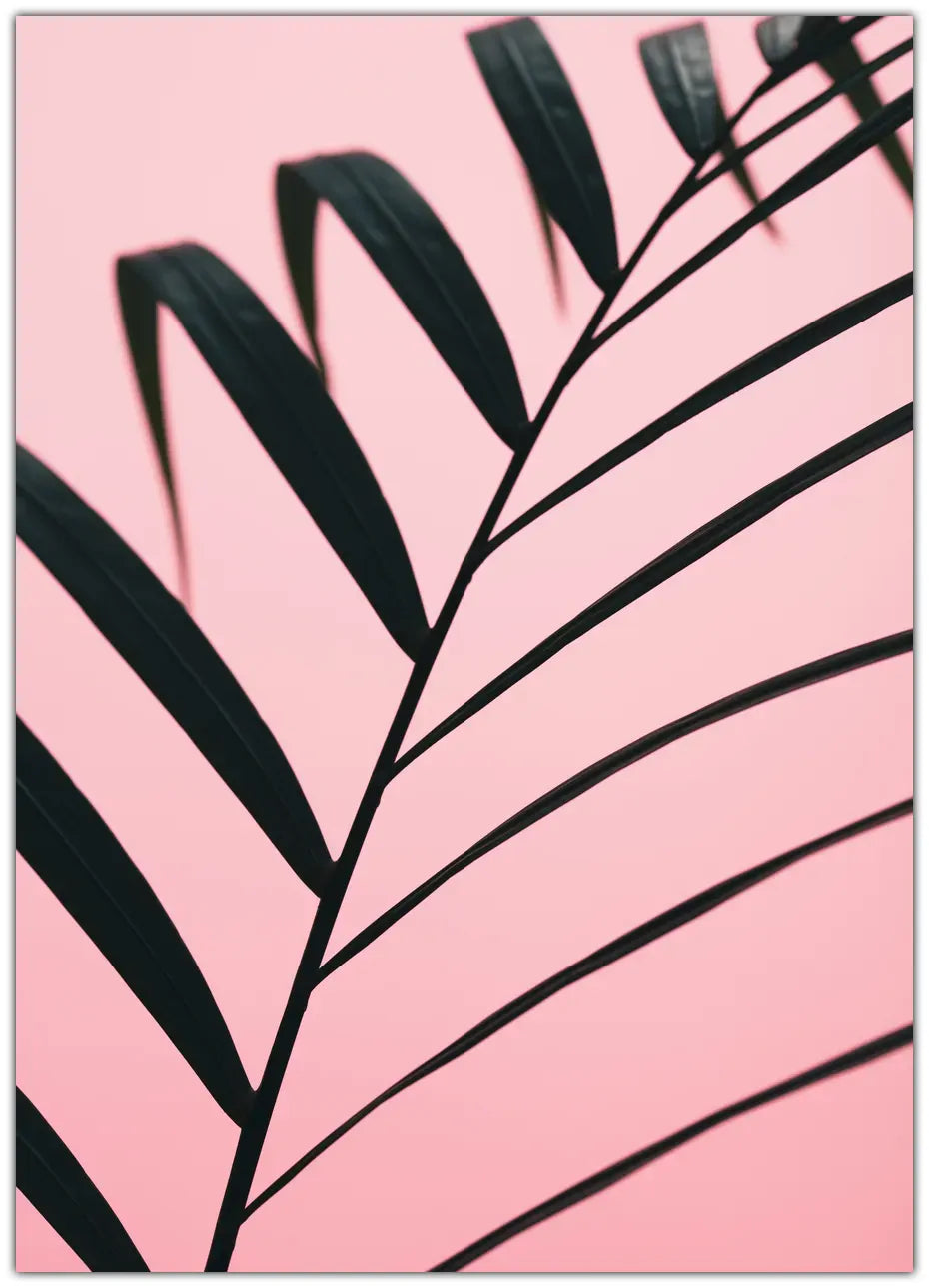 Graphic palm leaf 2 Plakat