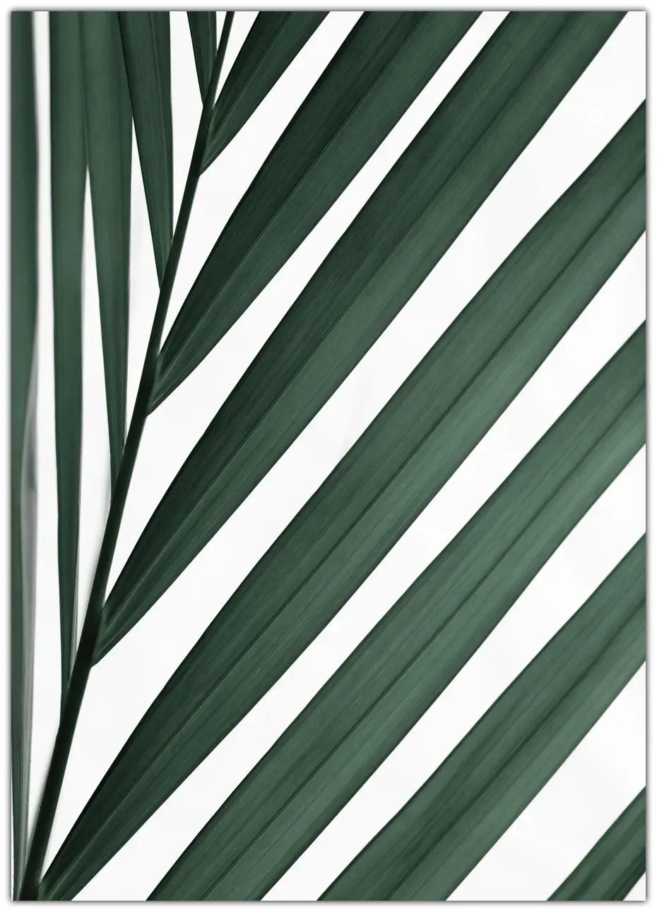 Graphic palm leaf 3 Plakat