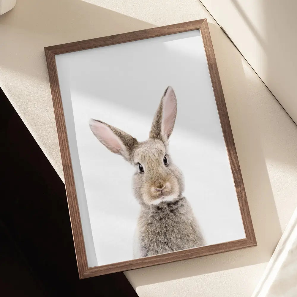 Baby Rabbit Plakat