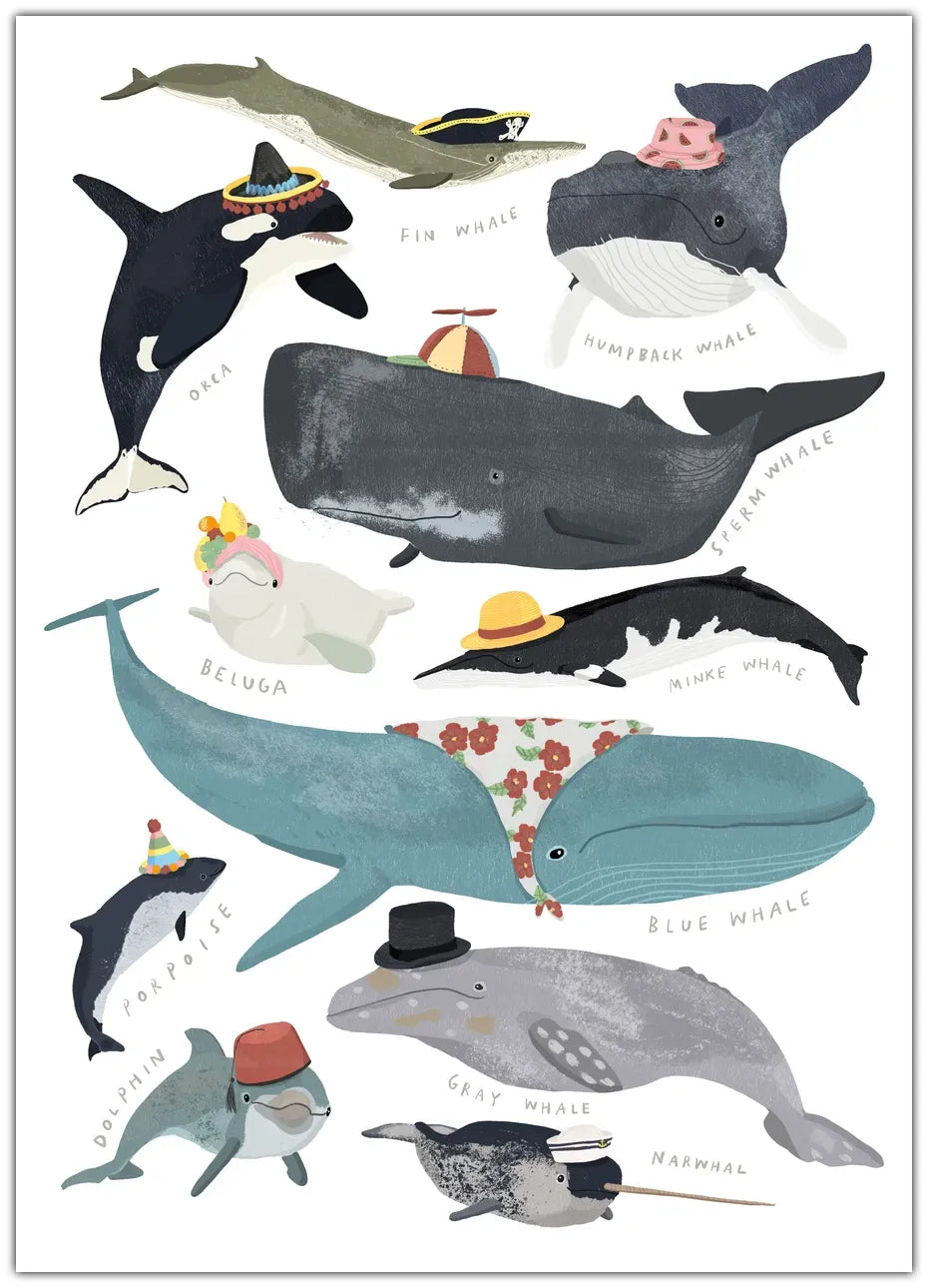 Whales In Hats Plakat