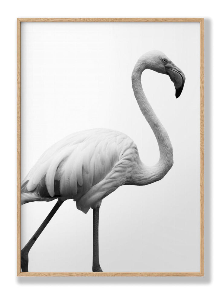 Dancer Plakat