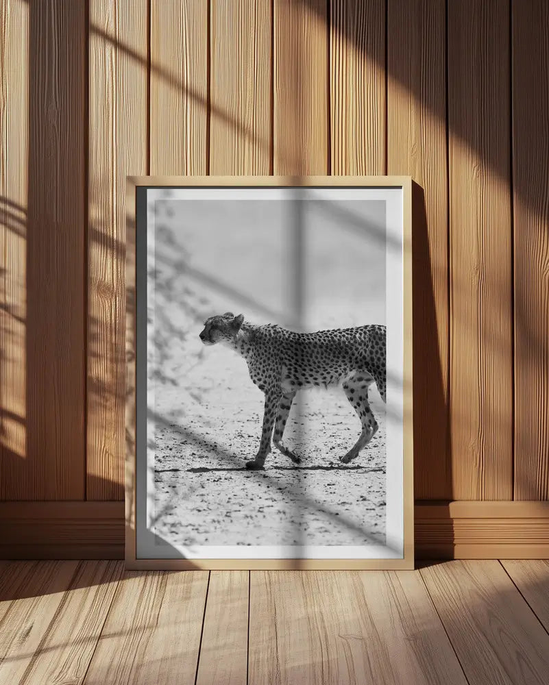 Kitty Kat No2 Plakat