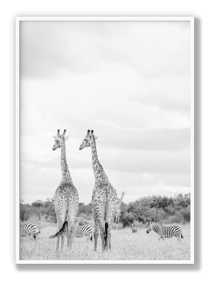 Super Safari No2 Plakat