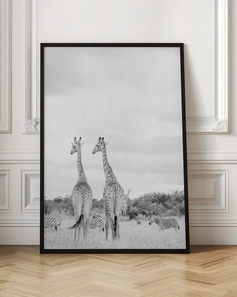 Super Safari No2 Plakat