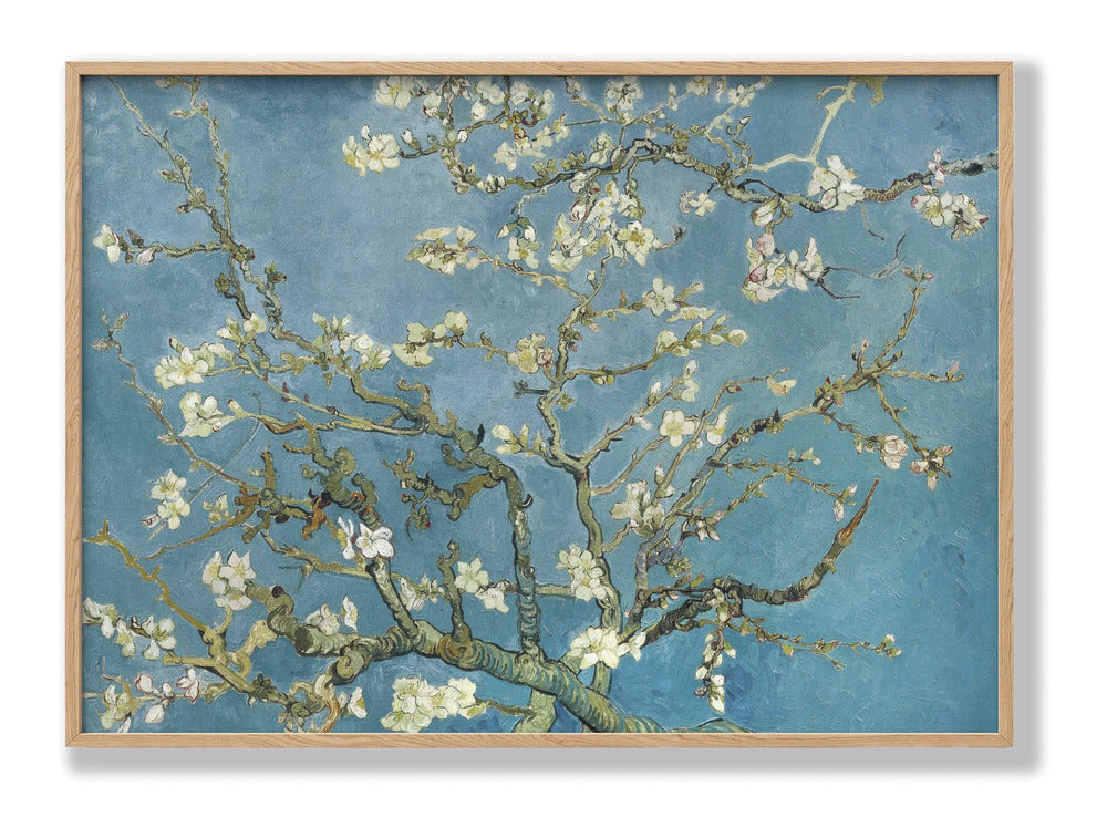 Vincent Van Gogh's Almond Blossom 1890 Plakat