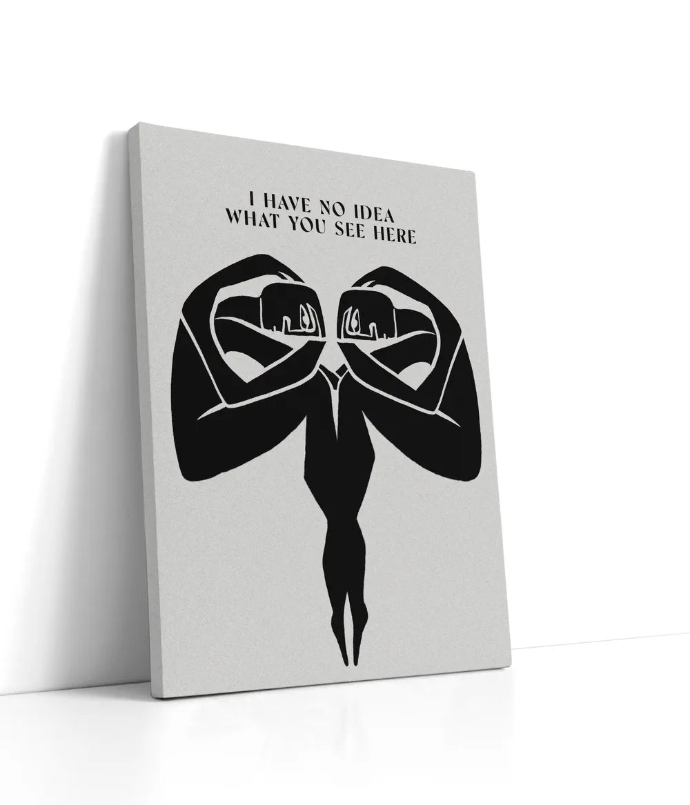 No Idea What You See Lærred