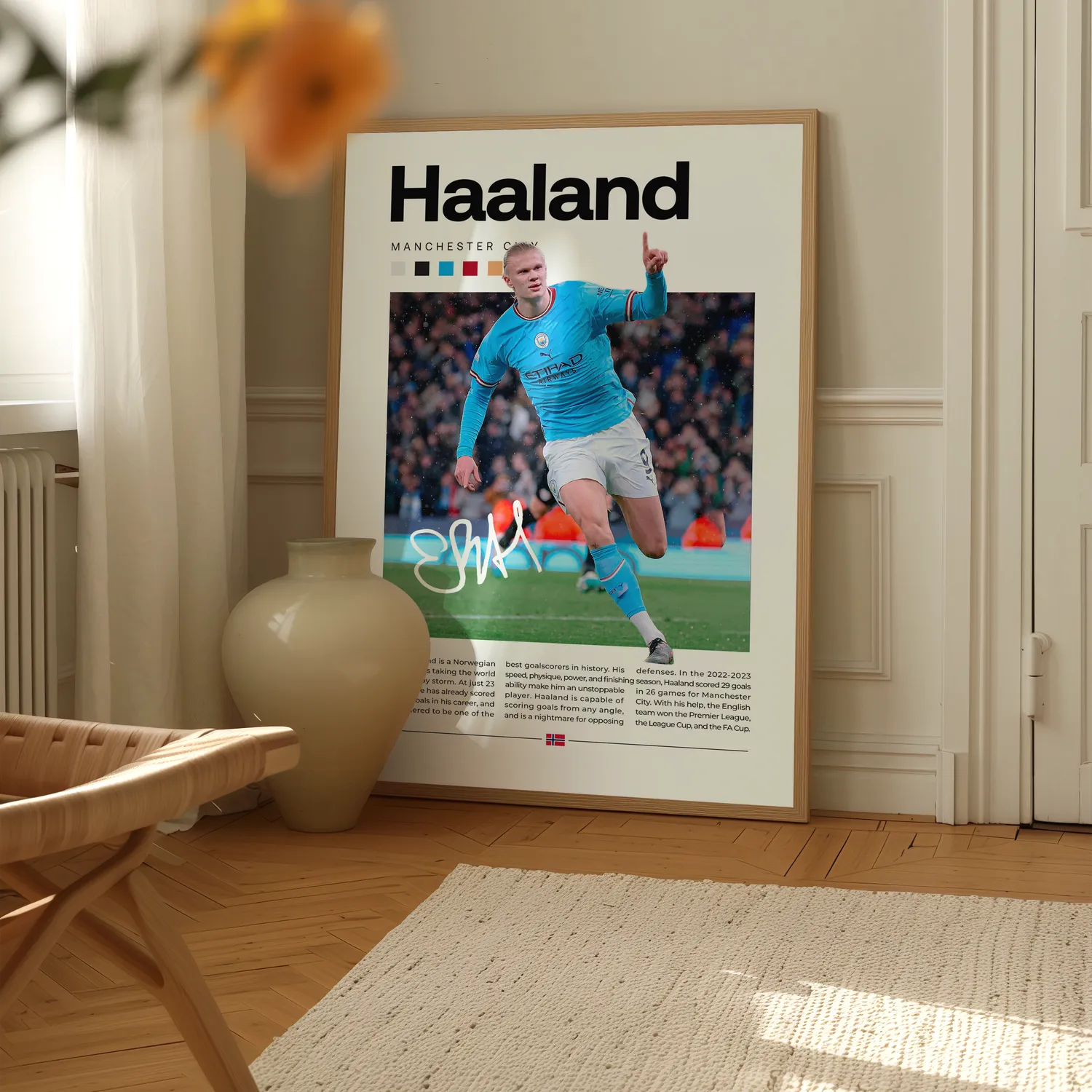 Erling Haaland Plakat