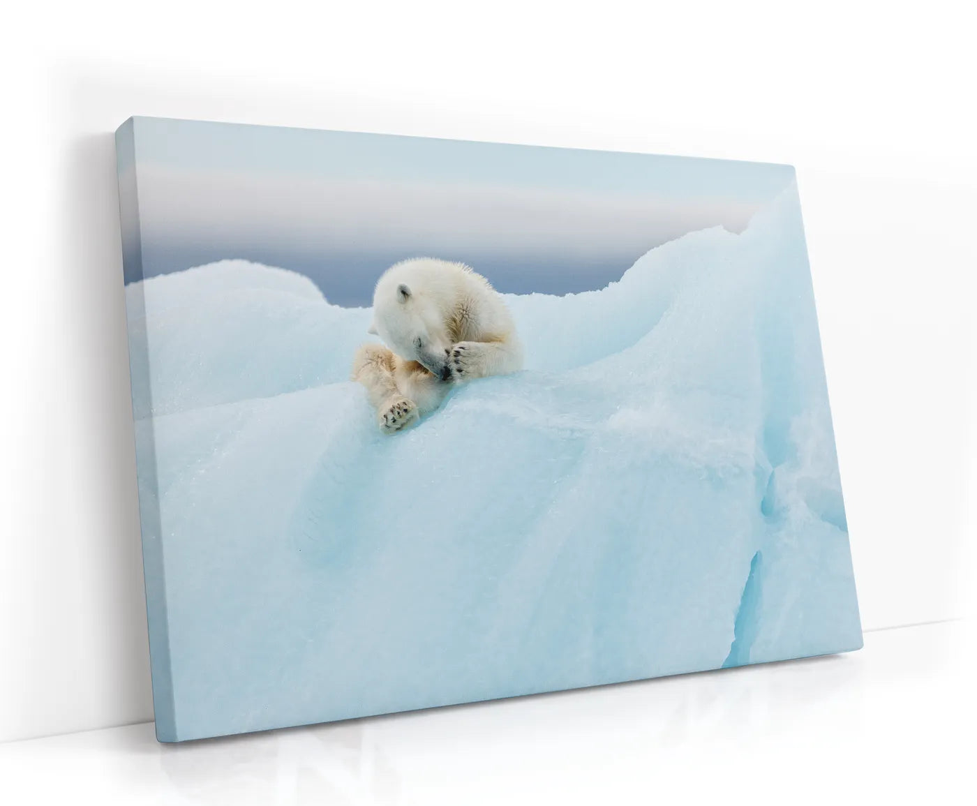 Polar Bear Grooming Lærred