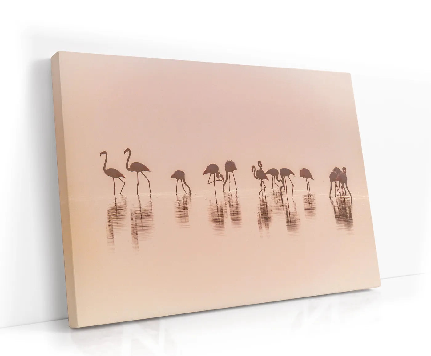 Flamingos in the mist Lærred