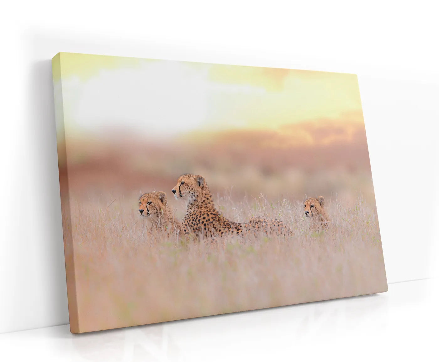 Cheetah Family Lærred