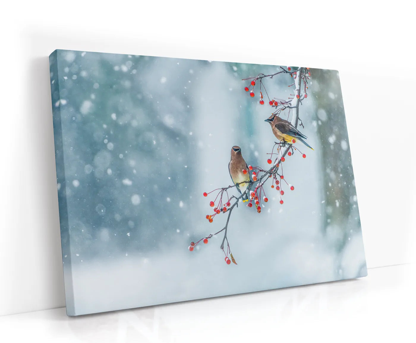 Colors of Winter Lærred