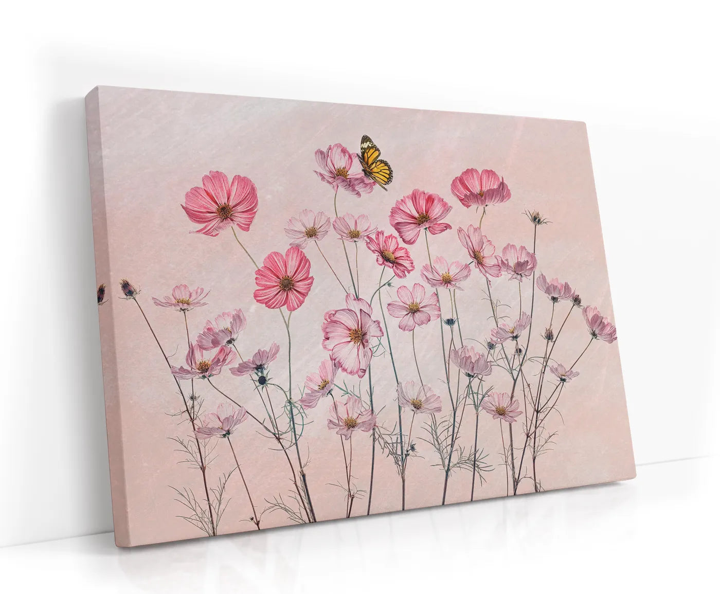 Cosmos and Butterfly Lærred