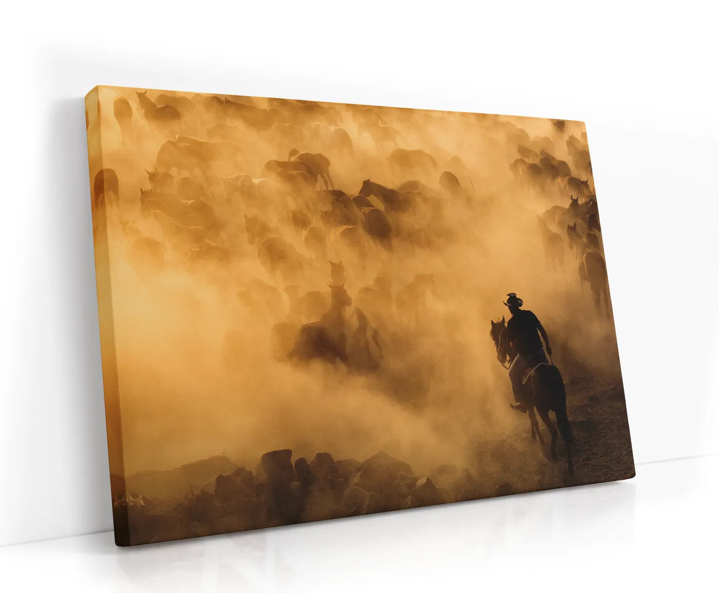 Cappadocia wild horses Lærred