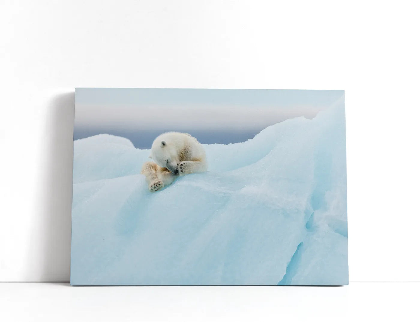 Polar Bear Grooming Lærred