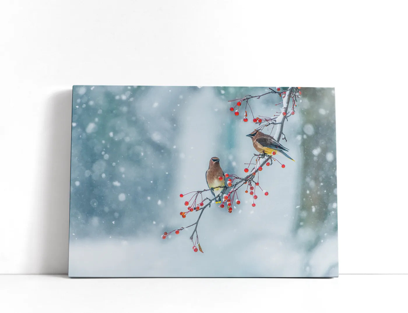 Colors of Winter Lærred