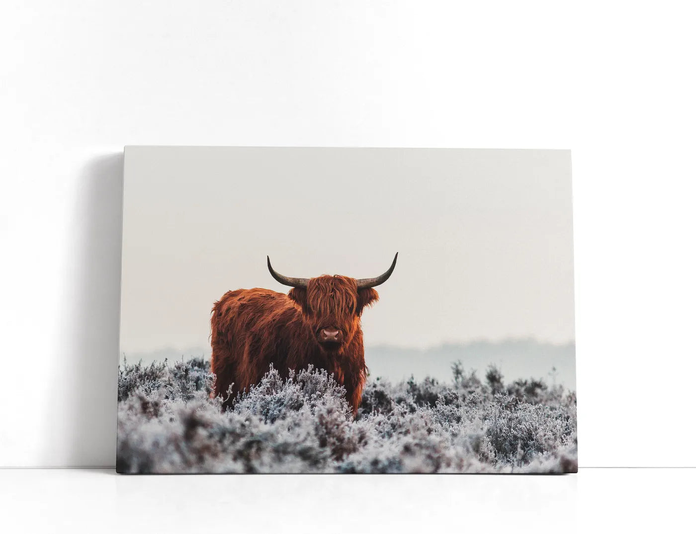 Highlander Lærred