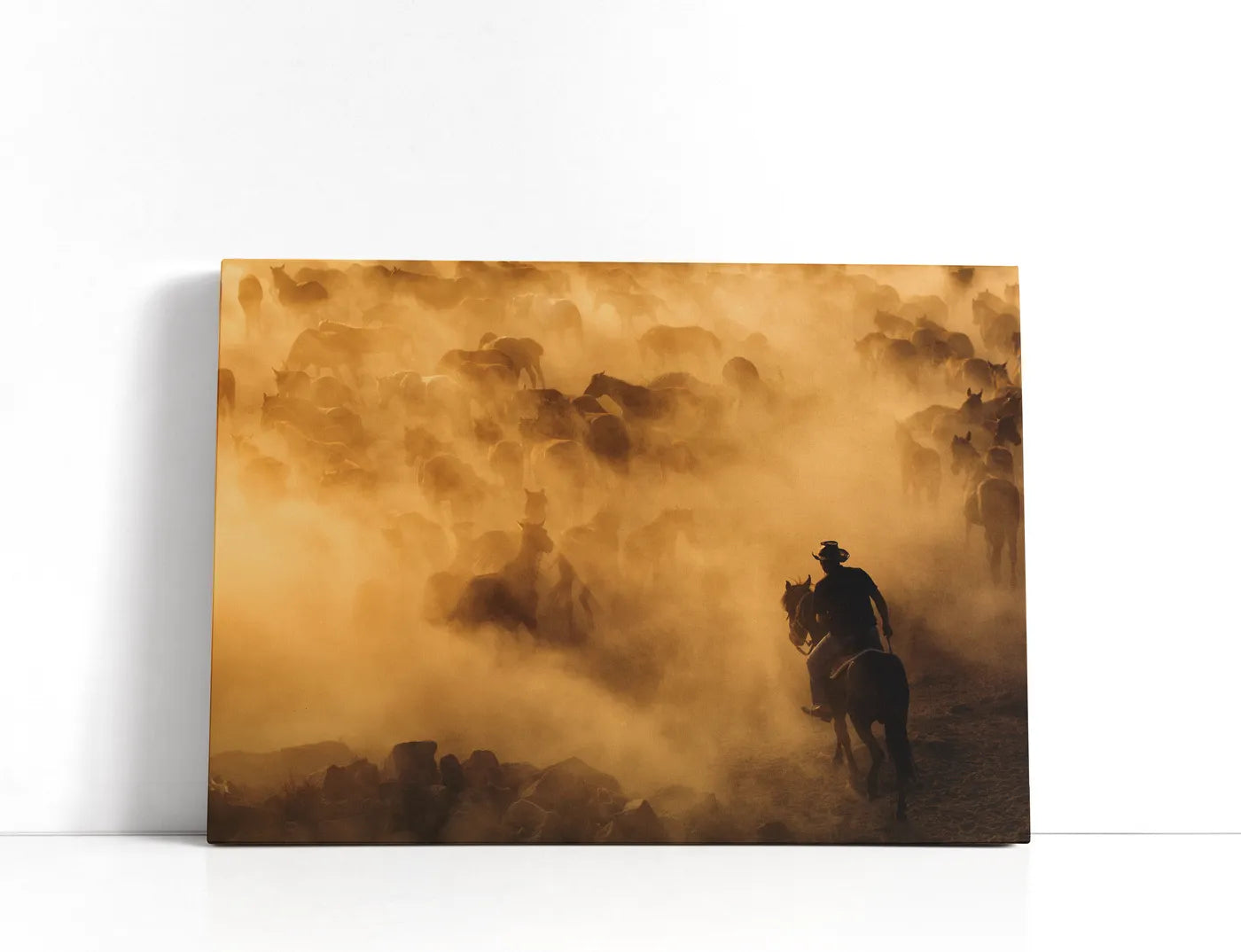 Cappadocia wild horses Lærred