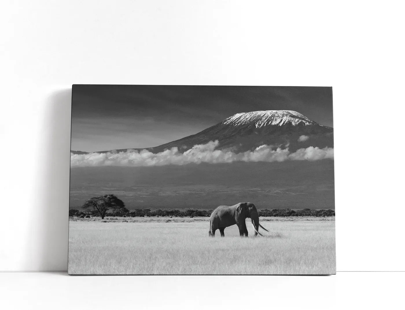 Lost Colors II Lærred