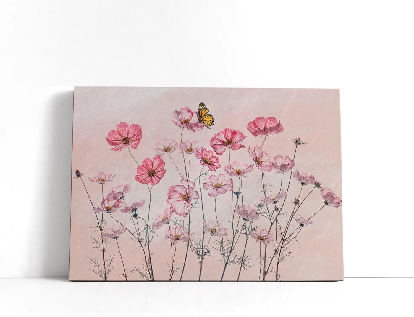 Cosmos and Butterfly Lærred