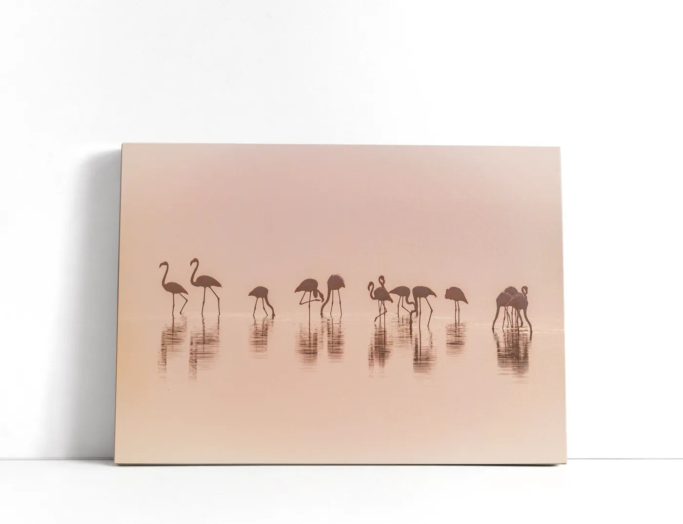 Flamingos in the mist Lærred