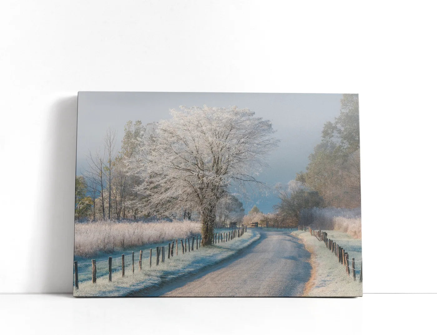 A Frosty Morning Lærred