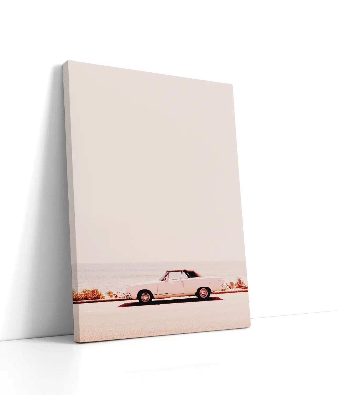 California Coast Lærred