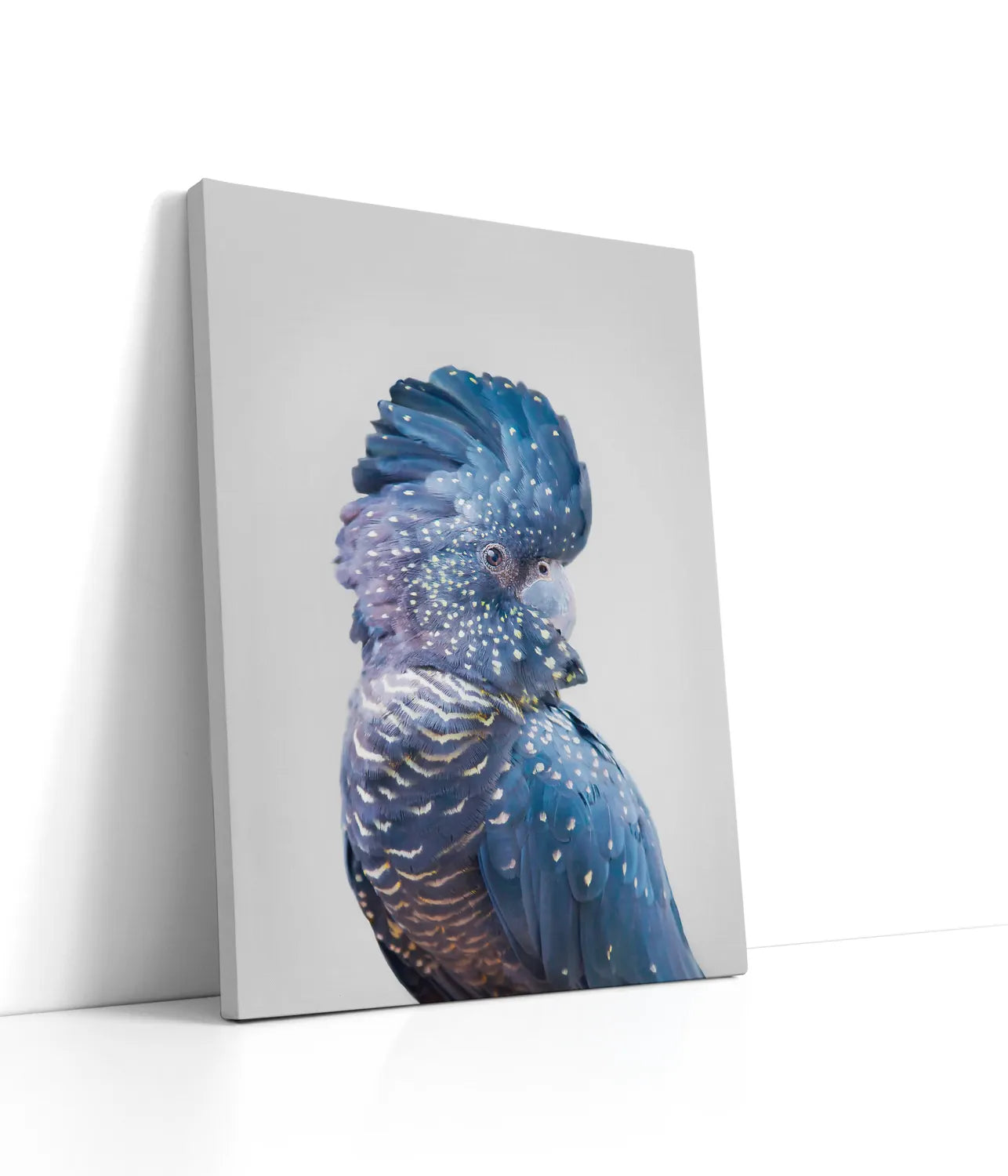 Black Cockatoo Lærred