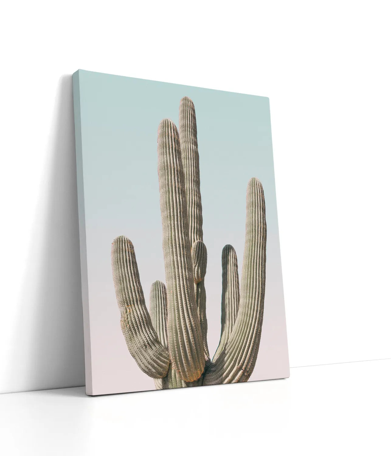 Saguaro Lærred