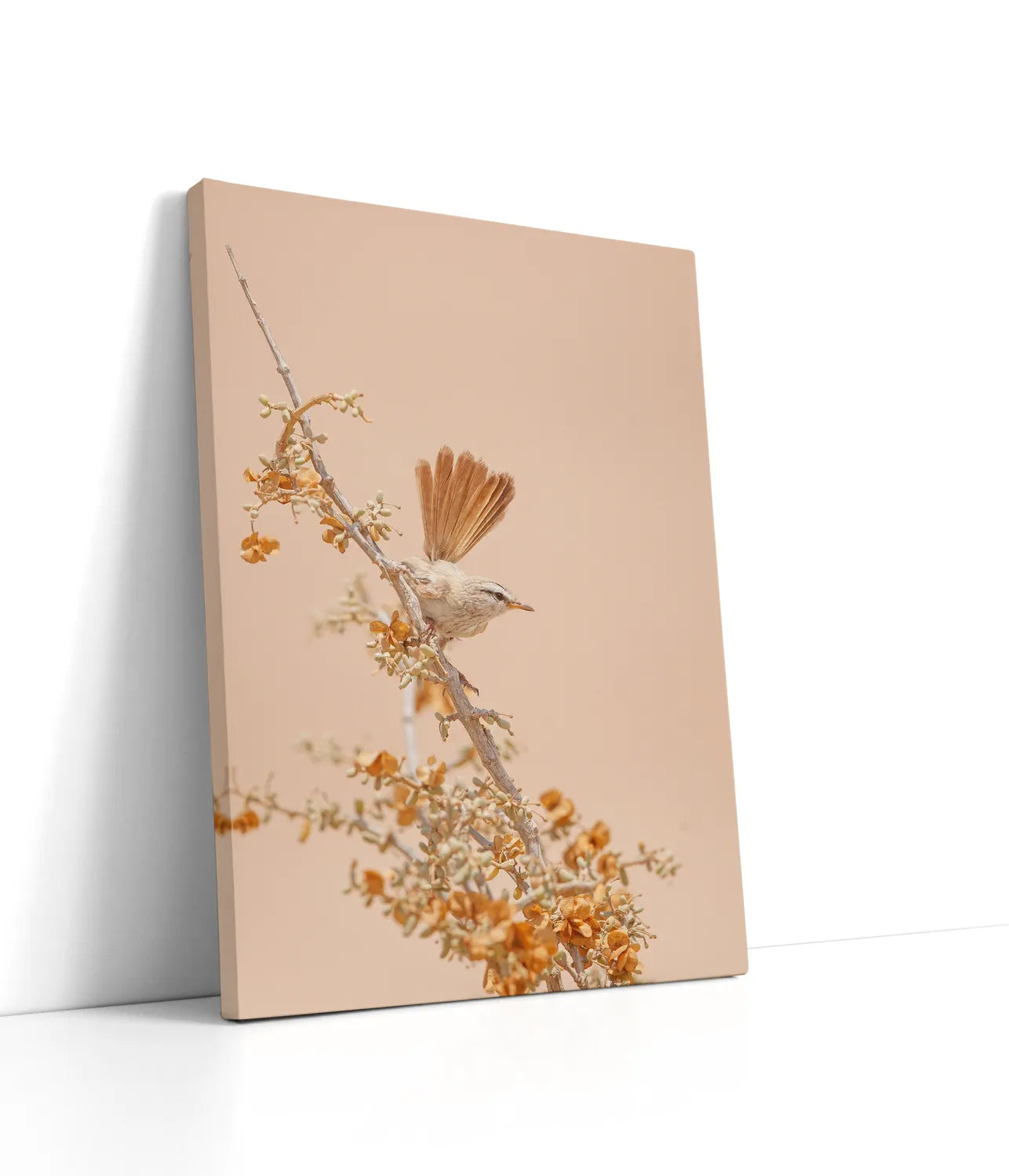 Scrub Warbler Lærred