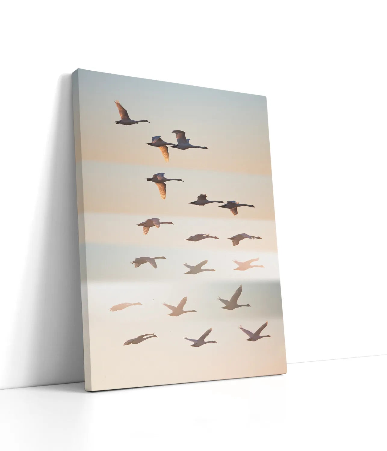 Past the sun Lærred