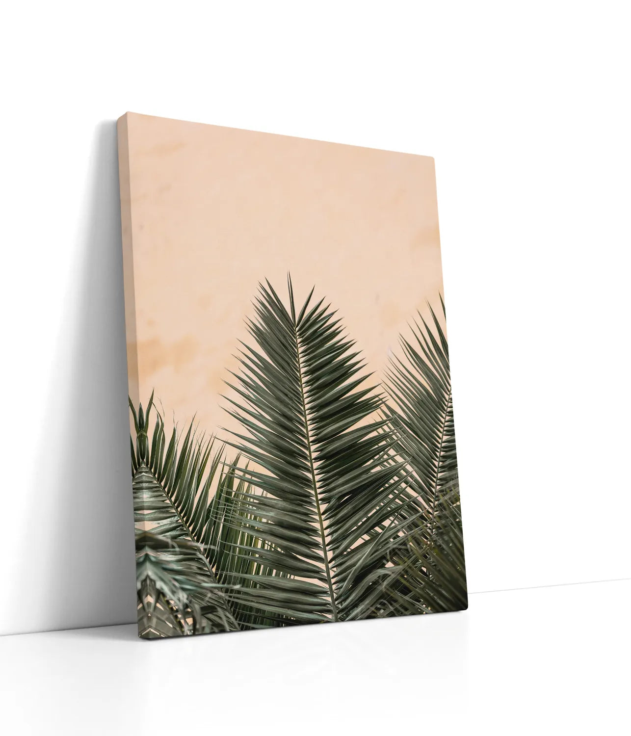 Palm leaves and wall 1 Lærred