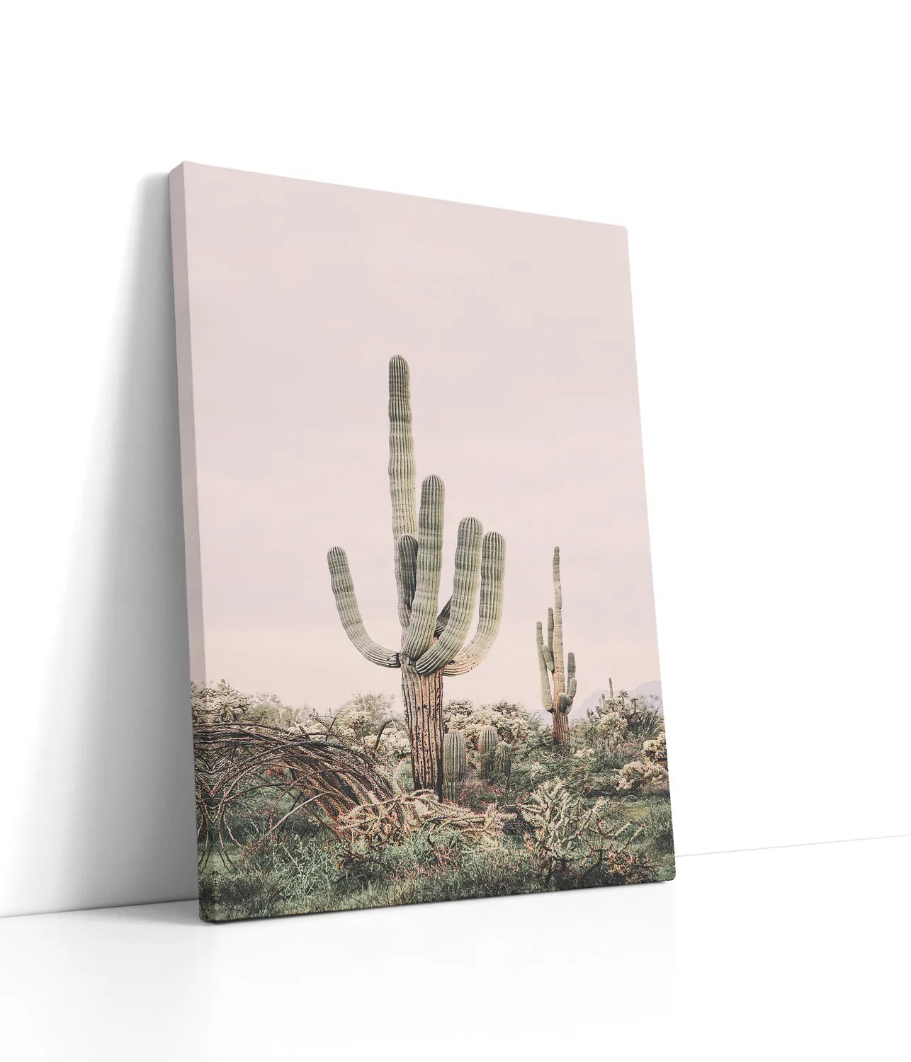 Pink Saguaro Lærred