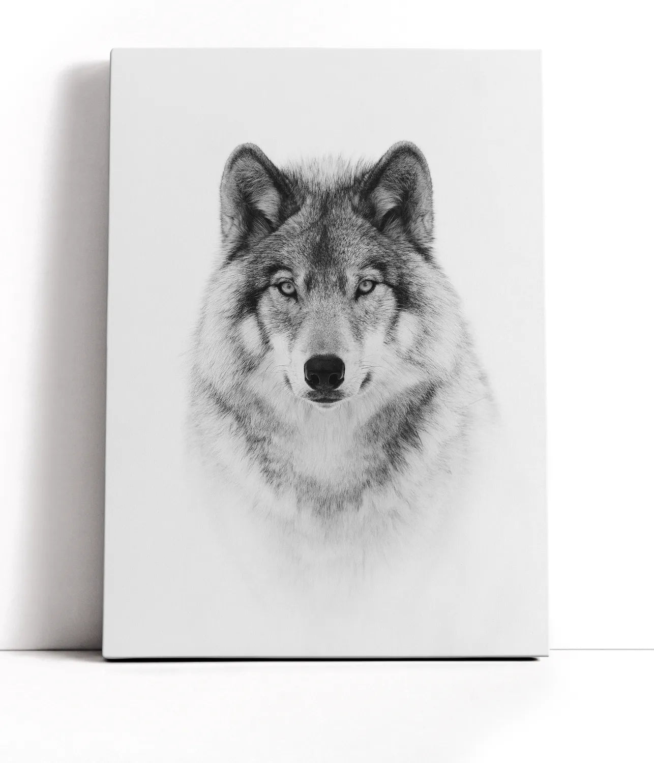 Portrait of a Timber Wolf Lærred