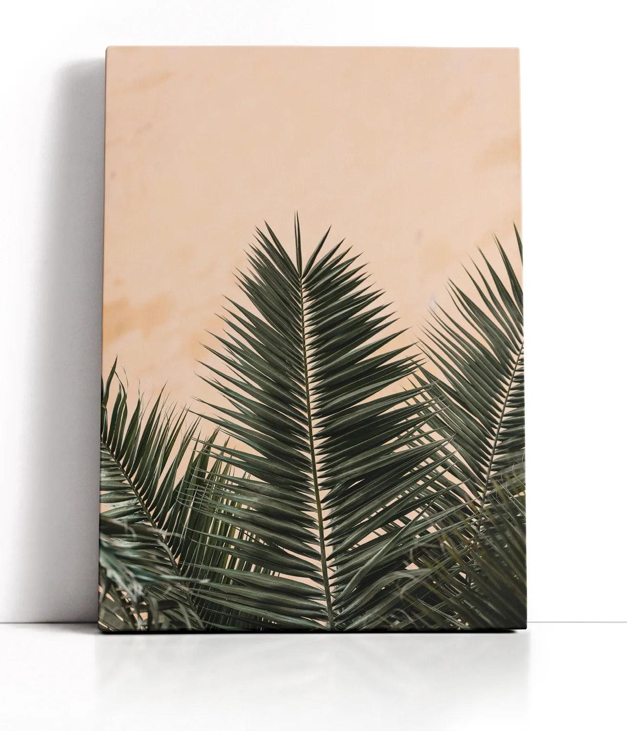 Palm leaves and wall 1 Lærred