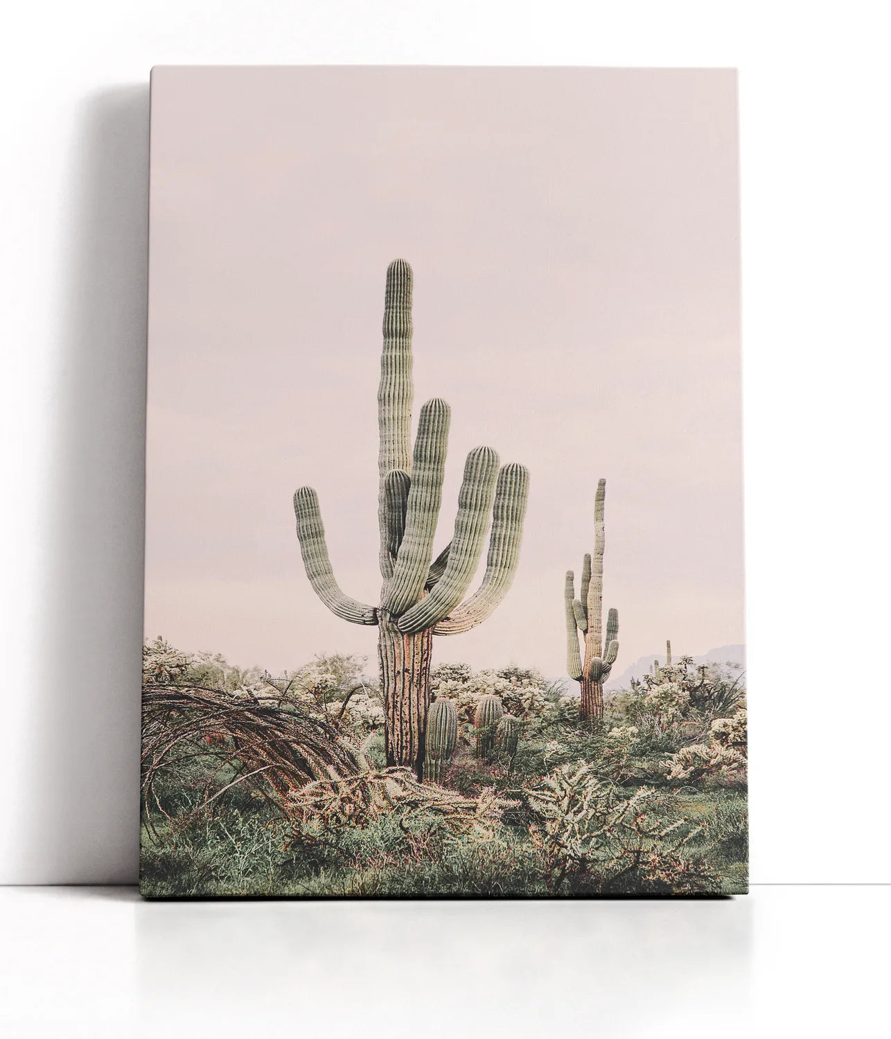 Pink Saguaro Lærred