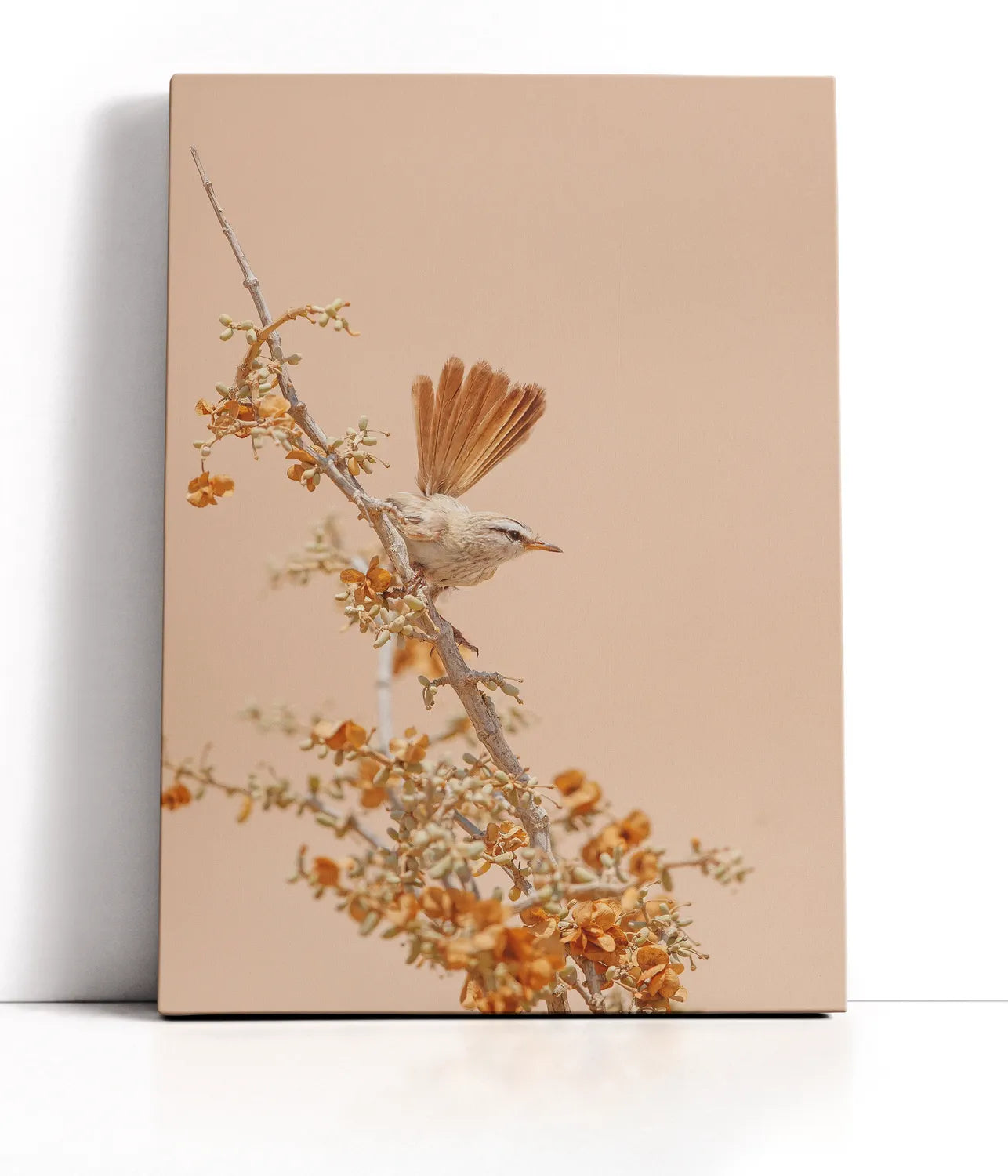 Scrub Warbler Lærred