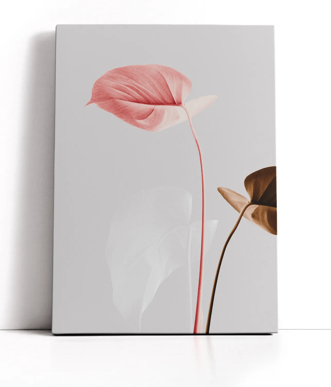 Monstera Creative 21 Lærred