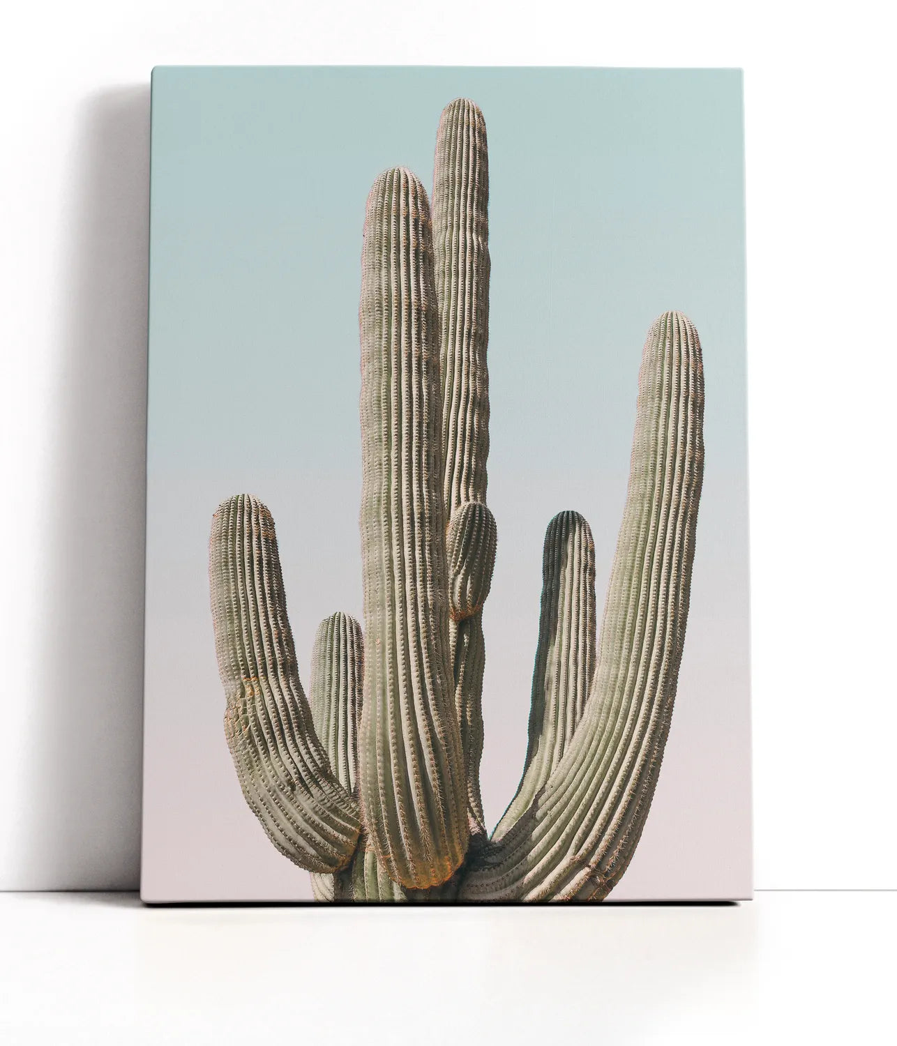 Saguaro Lærred
