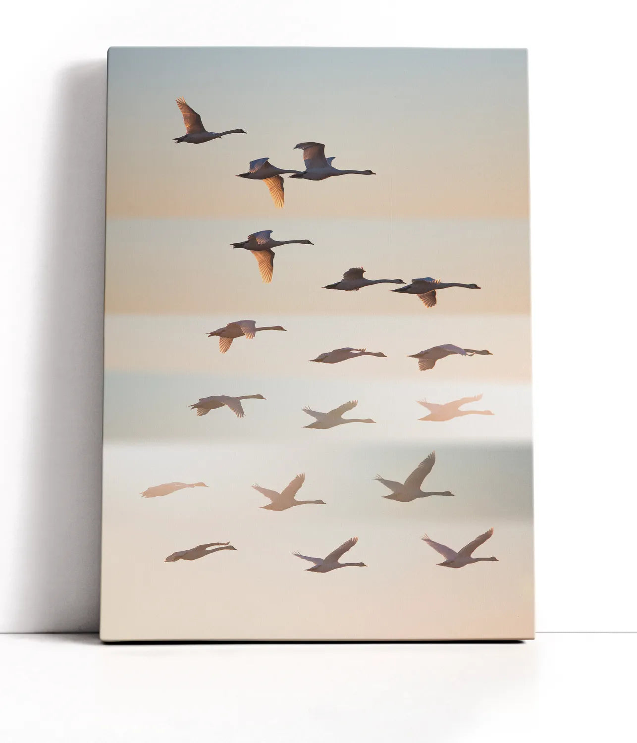 Past the sun Lærred