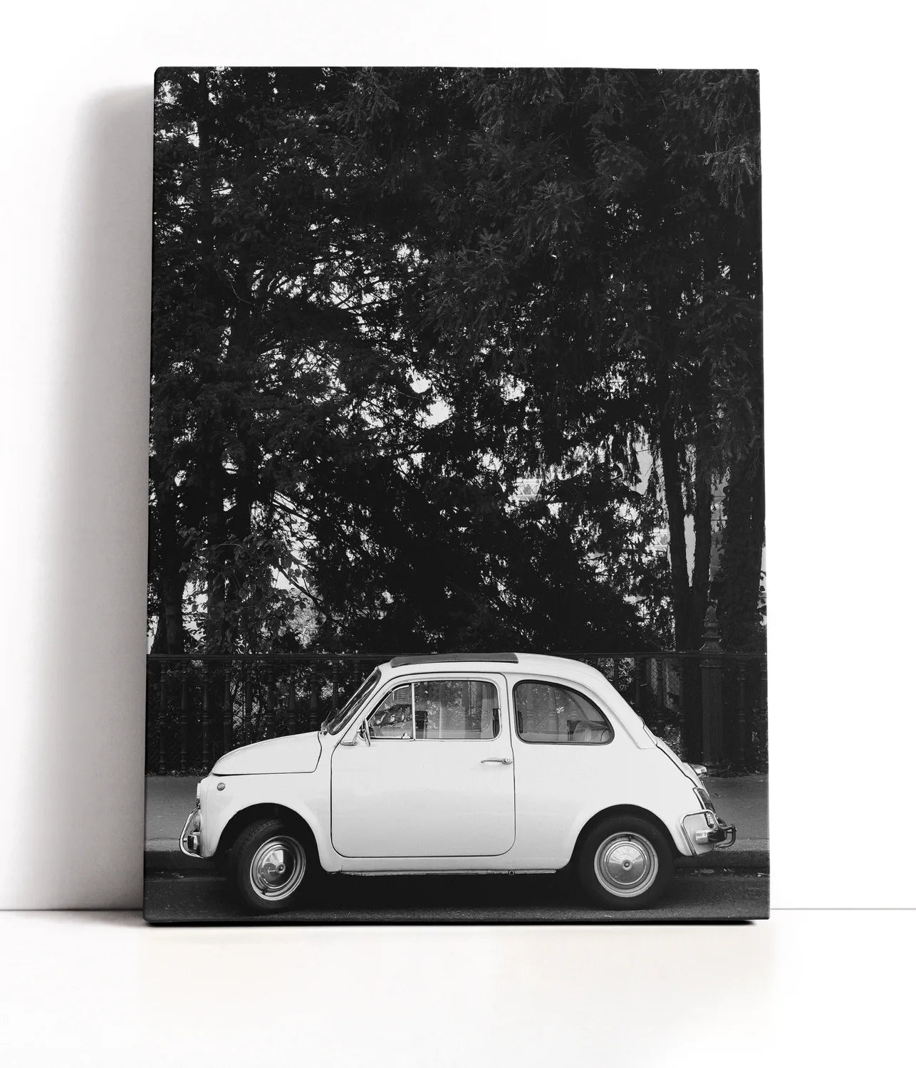 Mini Car B&w Lærred