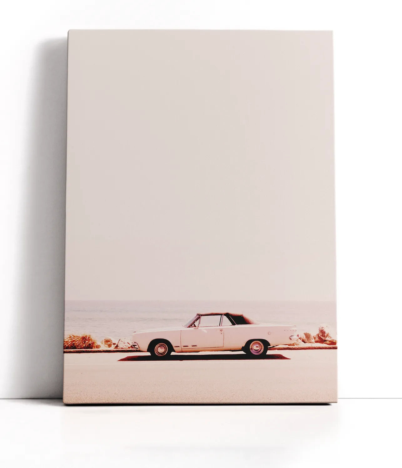 California Coast Lærred