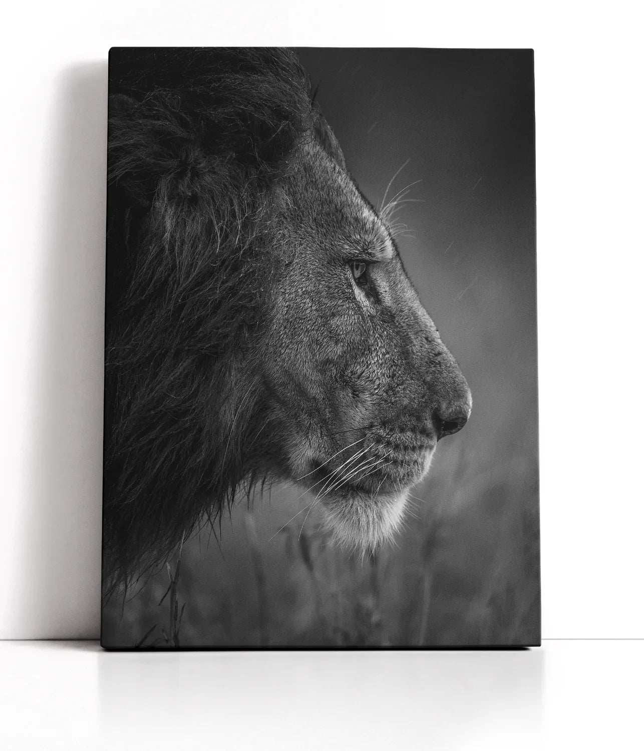 Thinking Under The Rain Lærred