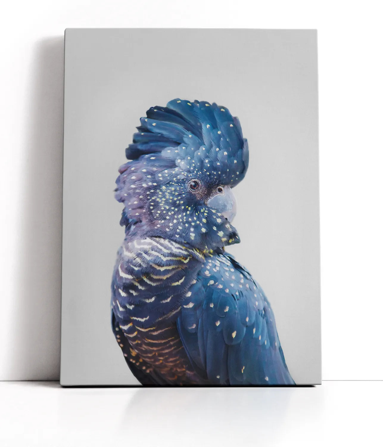 Black Cockatoo Lærred